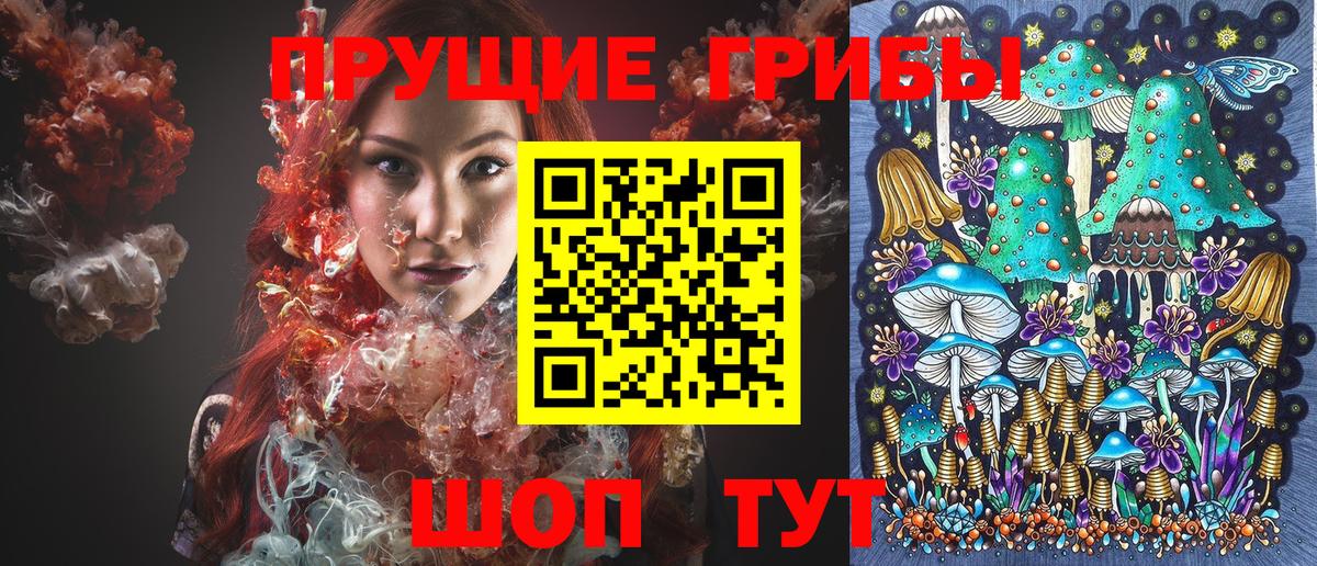Сызрань  Псилоцибиновые грибы MAGIC MUSHROOMS  Вход с VPN 